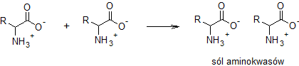Reakcje aminokwasów.