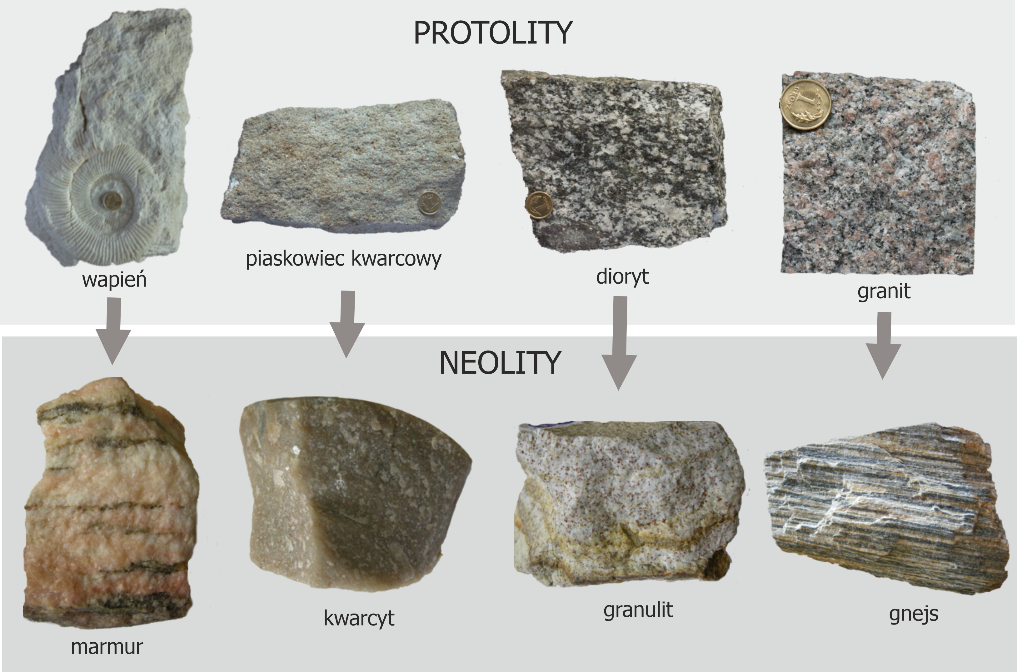 Przeobrażenie skał macierzystych (protolity) w skały metamorficzne (neolity).