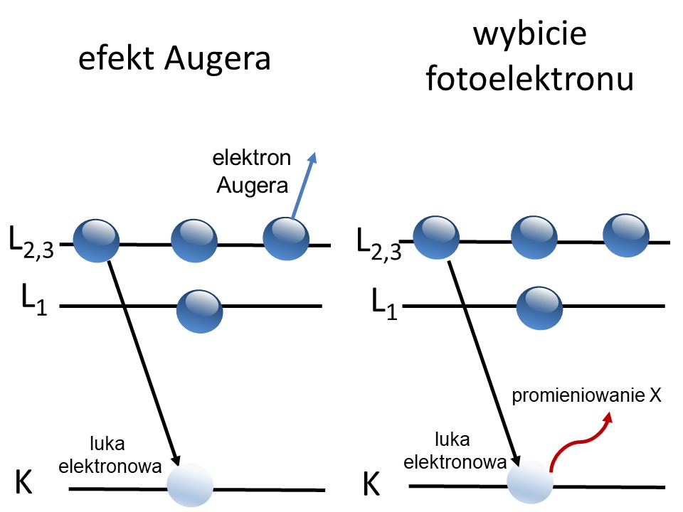 Porównanie zjawisk wybicia elektronu Augera oraz fotoelektronu w spektroskopii XPS.