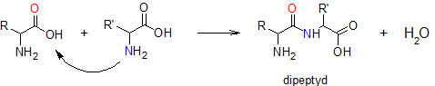 Reakcje aminokwasów - reakcja kondensacji.