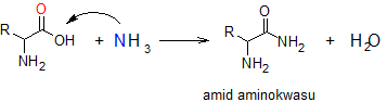 Reakcje aminokwasów.