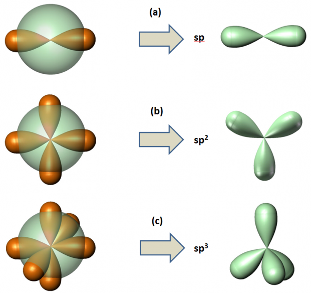 Hybrydyzacje atomów: (a) berylu; (b) boru; (c) węgla. 