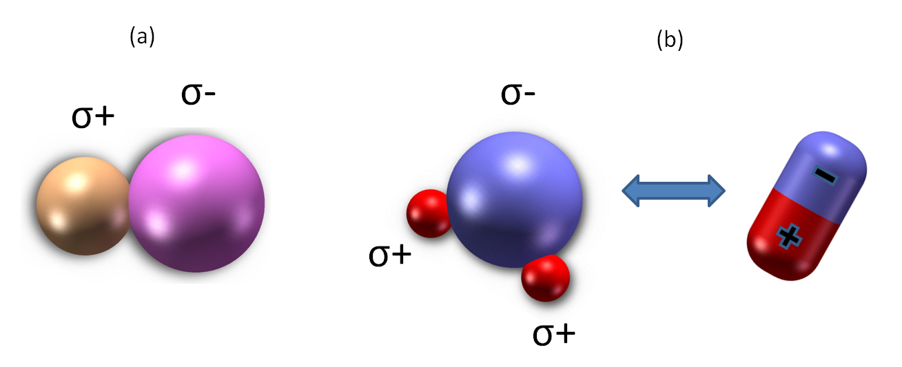 (a) - model molekuły o wiązaniu atomowym spolaryzowanym; (b) - model cząsteczki wody (dipol).