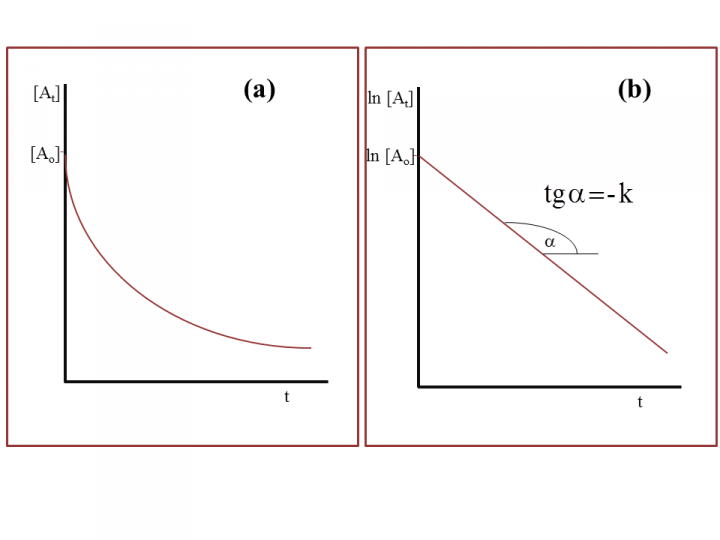 (a)Wykres zależności stężenia od czasu dla reakcji pierwszorzędowej.(b)Wykres zależności stężenia od czasu w układzie logarytmicznym dla reakcji pierwszorzędowej.