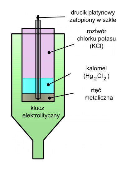 Schemat elektrody kalomelowej