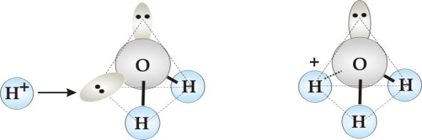 Tworzenie jonu hydroniowego w wyniku przyłączenia jonu wodorowego przez cząsteczkę wody (https://zasoby1.open.agh.edu.pl/dydaktyka/chemia/a_e_chemia/6_chemia_roztworow/05_05_01.htm)