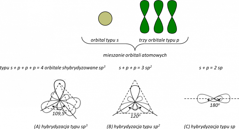 Typy hybrydyzacji dla atomu węgla.