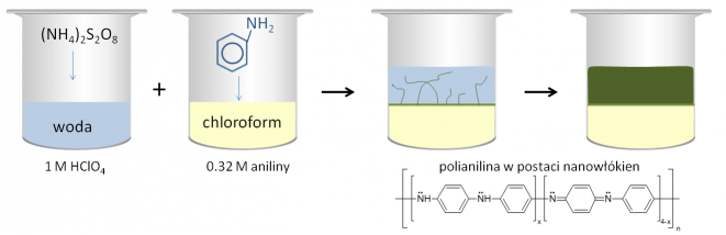 Schemat syntezy nanowłókien polianiliny metodą polimeryzacji międzyfazowej.
