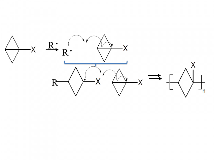 Przykład polimeryzacji rodnikowej z otwarciem pierścienia bicyklo{OPENAGHMATHJAX()}[1.1.0]{OPENAGHMATHJAX}butanu
(gdzie: R· - rodnik,  X = grupa estrowa ,–COOR; grupa cyjanowa, -CN; grupa sulfonowa {OPENAGHMATHJAX()} -SO_{3}R{OPENAGHMATHJAX}.