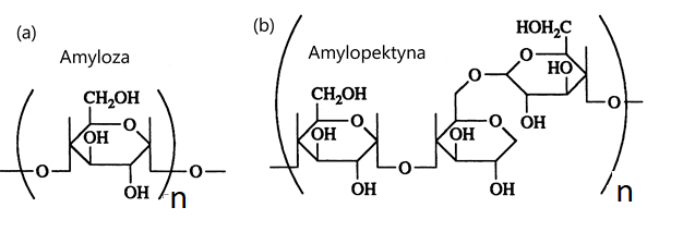 Wzór amylozy (a) i amylopektyny (b).