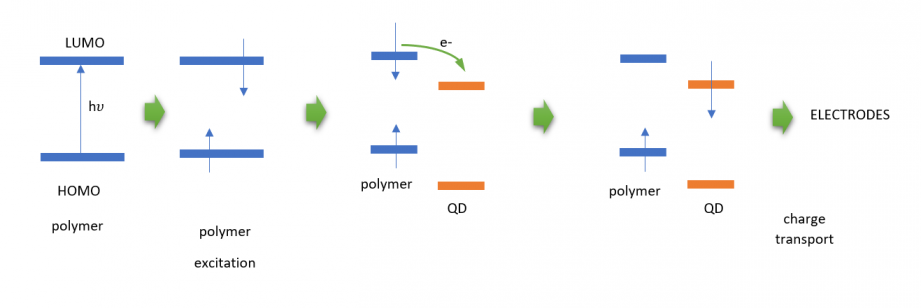 Operation principle of polymer cells doped with quantum dots. Own elaboration. 