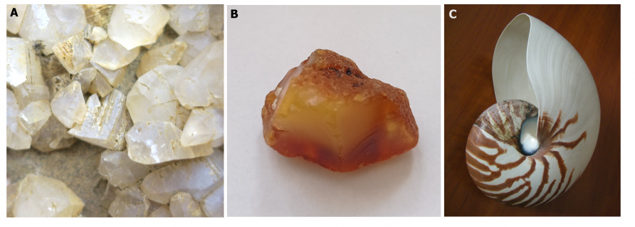 A: minerał (kryształy kalcytu), B: mineraloid (bursztyn), C: biominerał (kalcyt w muszli łodzika).  