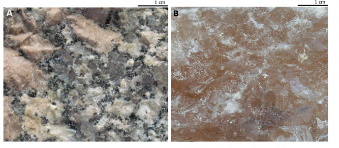 A: skała polimineralna (granit zbudowany ze skaleni alkalicznych, plagioklazów, kwarcu i minerałów ciemnych), B: skała monomineralna (halityt zbudowany z halitu). 