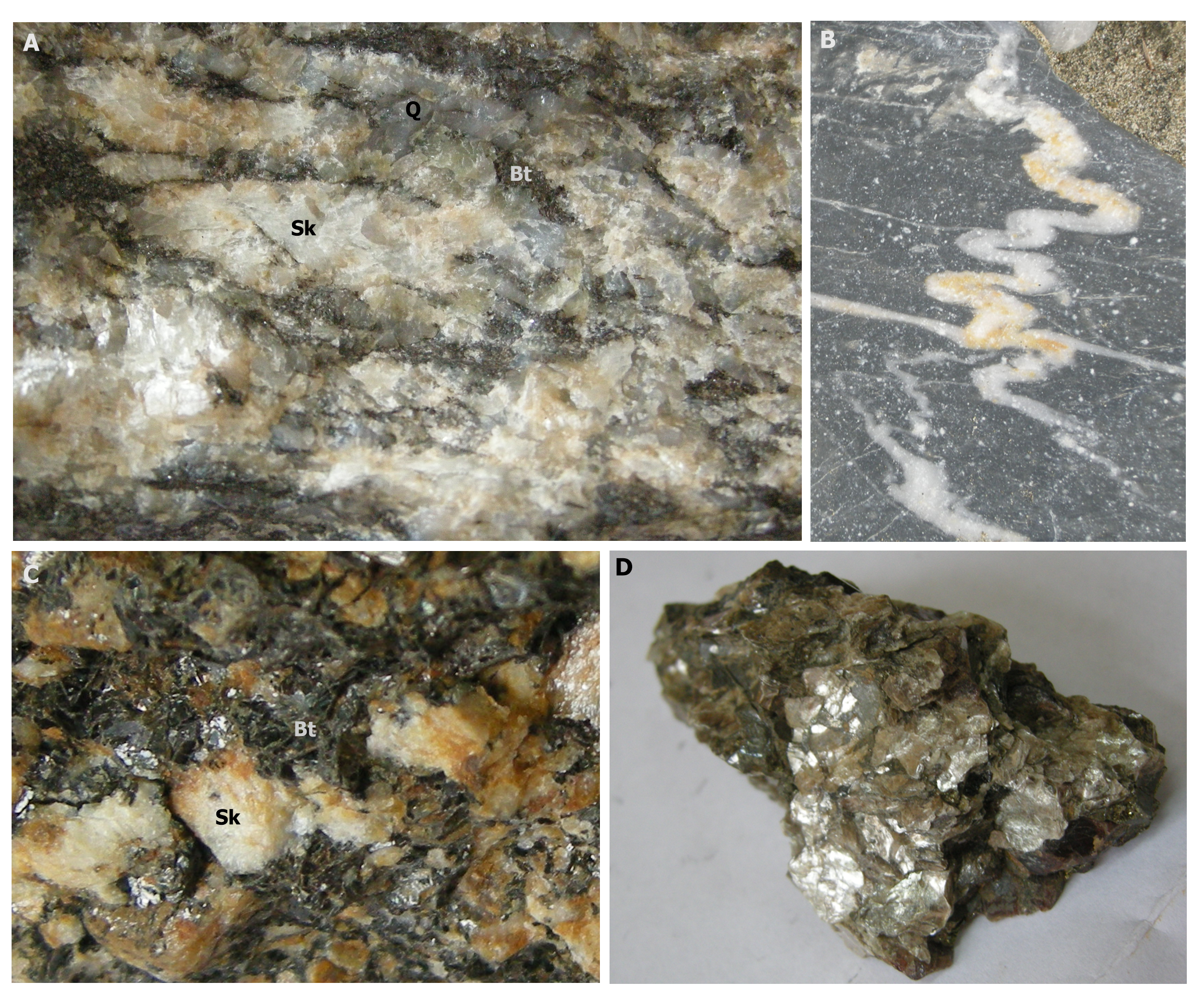 Minerały stabilne w skałach metamorficznych. A: kwarc (Q), skaleń (Sk), biotyt (Bt) w gnejsie, B: kwarcowa żyłka ptygmatytowa w amfibolicie, C: skaleń (Sk) i biotyt (Bt) w łupku łyszczykowym, D: muskowit (w łupku łyszczykowym). 