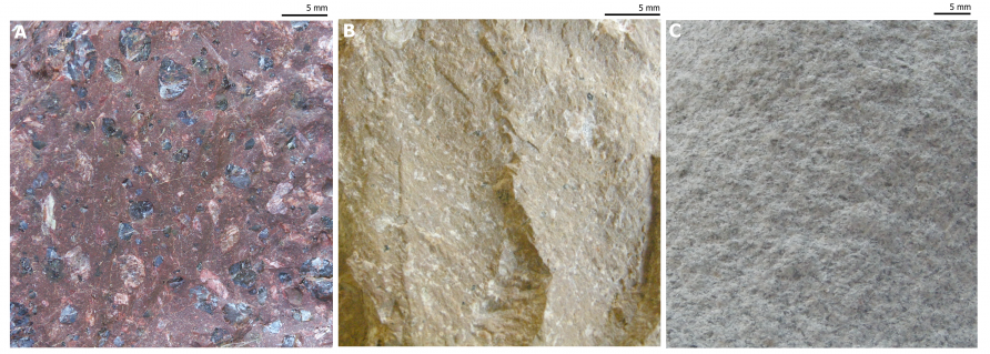  Kwaśne skały wylewne. A: porfir kwarcowy, B: riolitoid, C: dacytoid. 