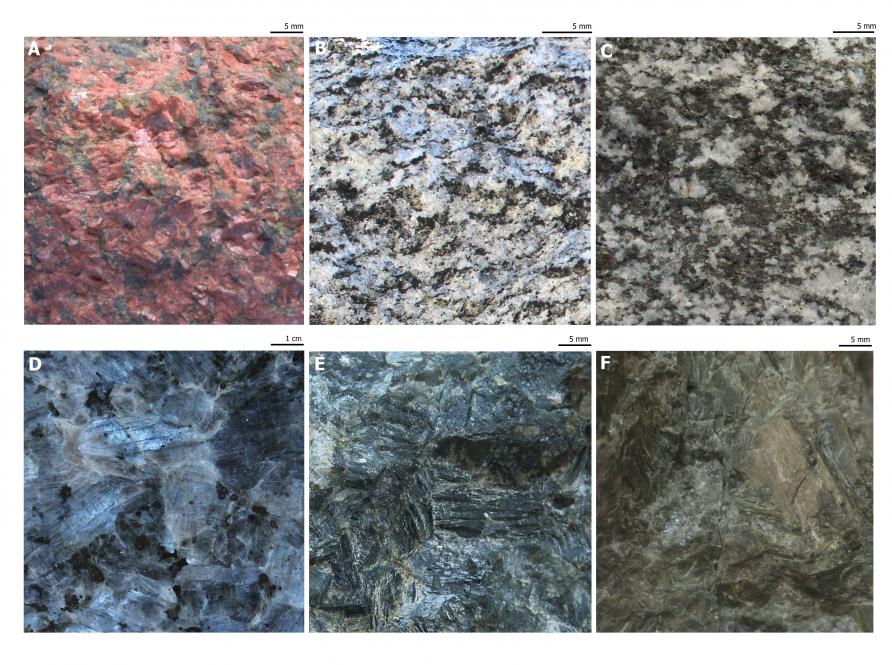 Obojętne skały głębinowe. A: sjenit, B: monzonit, C: dioryt, D-F: gabro. A, C-F: fot. – archiwum aut. ; B: fot. Krzysztof Szopa. Wykorzystano za zgodą autora. 