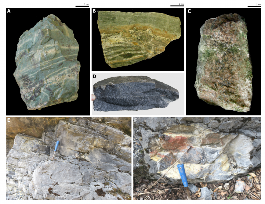 Skały metamorfizmu termicznego. A-B: skały metamorfizmu metasomatycznego, C: skarn granatowy, D: hornfels, E-F: skarny. 