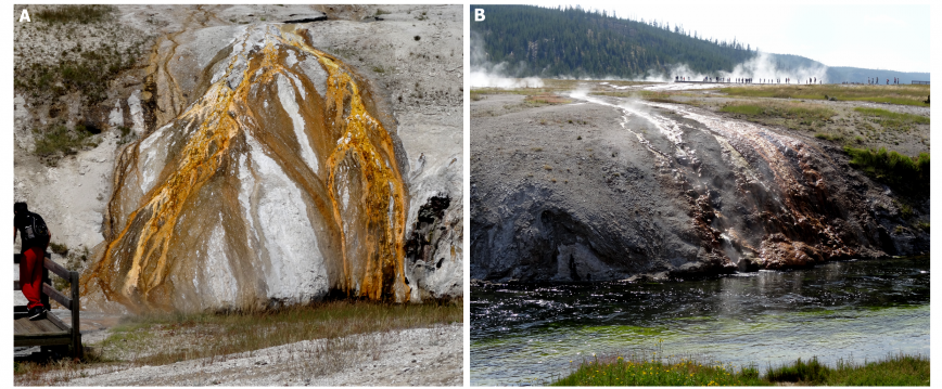 A, B: Nawarstwienia mineralne z gorących źródeł Yellowstone National Park (USA).