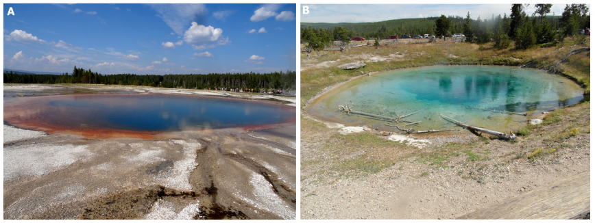 A, B: Gorące źródła w Yellowstone National Park (USA).