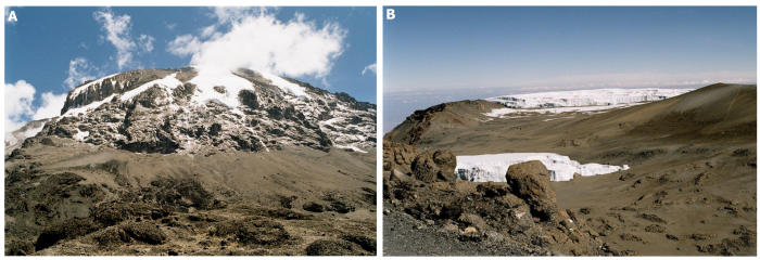 Kilimandżaro. A: szczytowa partia wulkanu widoczna z wysokości ok. 4 km, B: fragment kaldery z widocznym po prawej stronie kraterem. A-B: fot. Jerzy Żaba. Wykorzystano za zgodą autora.