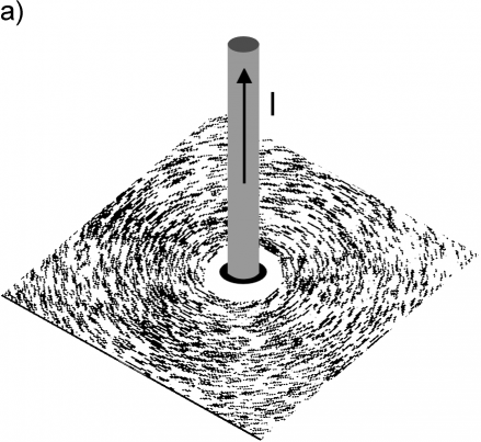 : Linie pola magnetycznego wokół prostoliniowego przewodnika z prądem; (opiłki żelaza rozsypane na powierzchni kartki umieszczonej prostopadle do przewodnika z prądem tworzą koncentryczne kręgi odzwierciedlając kształt linii pola magnetycznego) 